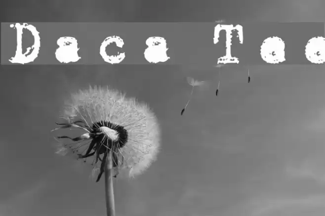 Draconian Typewriter Schriftart examples