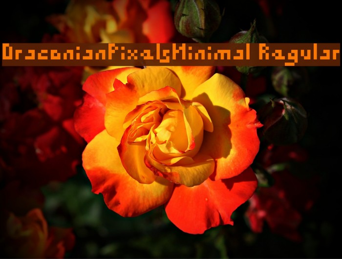 DraconianPixelsMinimal Regular Font examples