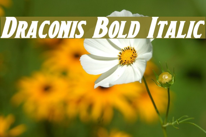 Draconis Bold Italic Example 1