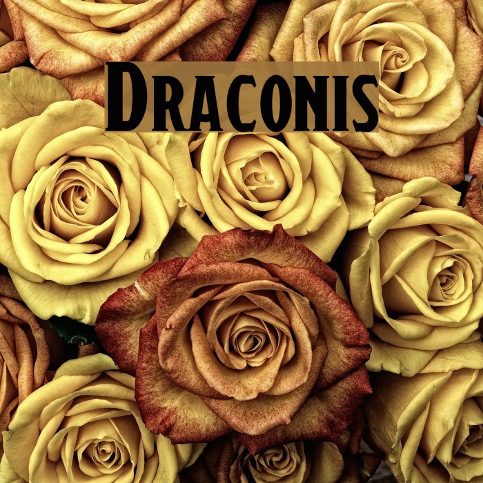 Draconis Font examples