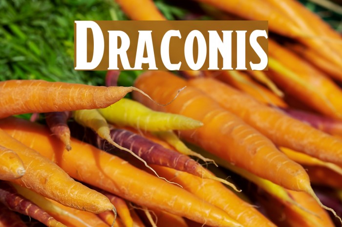Draconis Font examples