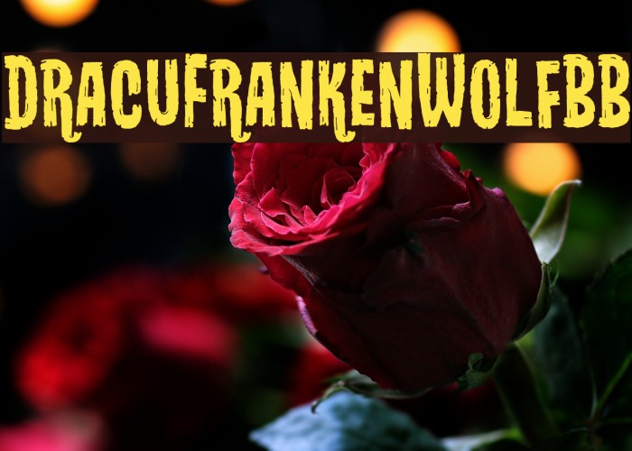 DracuFrankenWolfBB Font examples