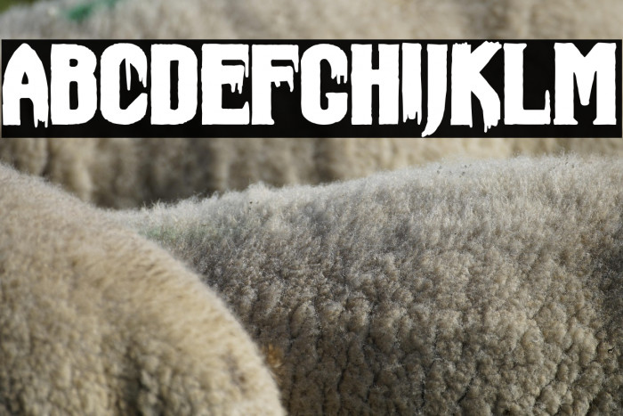 Dracul Hotel Example 2