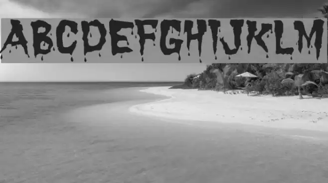 Dracula Font examples