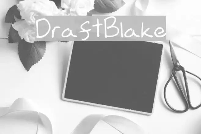DraftBlake Example 3
