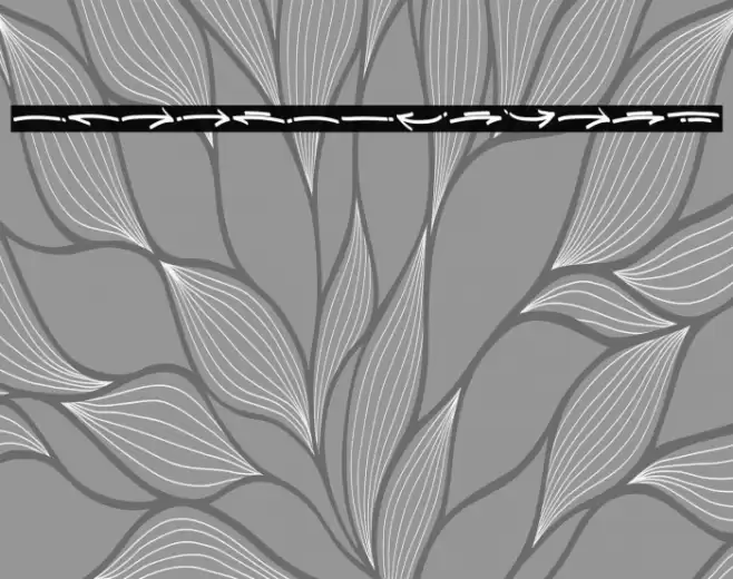 DraftBoxSwash Font examples