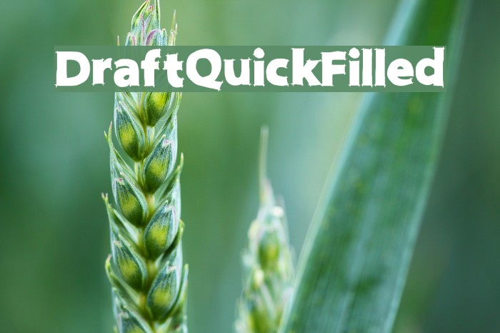 DraftQuickFilled Font examples