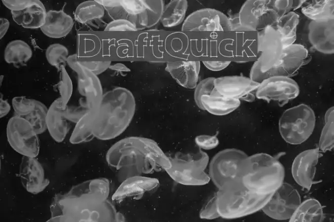 DraftQuick Example 2