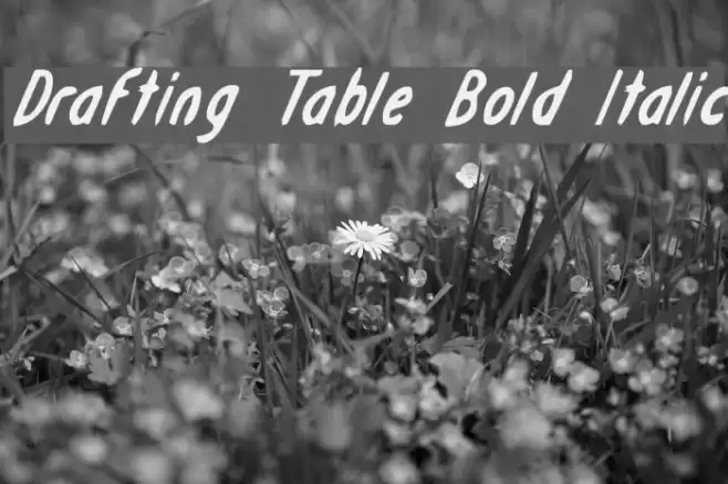 Drafting Table Bold Italic Font examples