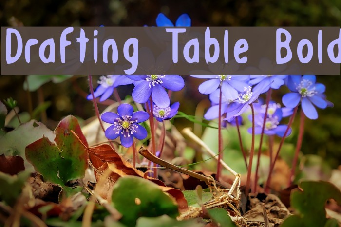 Drafting Table Bold Font examples