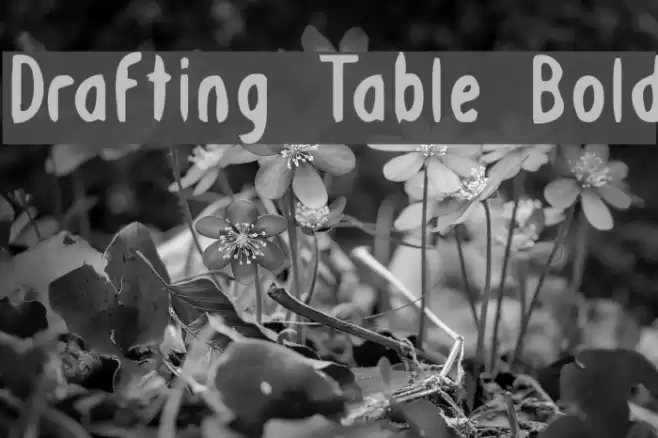 Drafting Table Bold Font examples