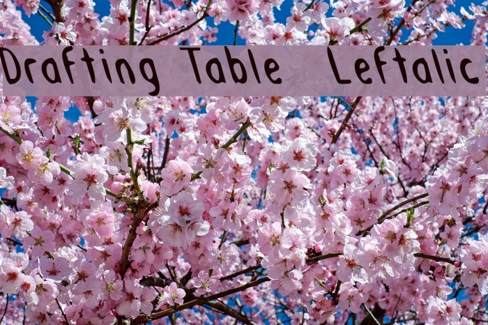 Drafting Table Leftalic Font examples