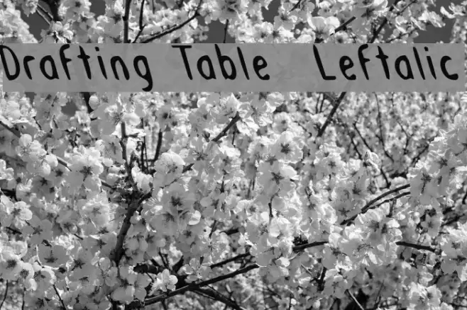 Drafting Table  Leftalic Example 1