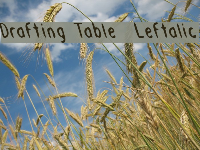Drafting Table Leftalic Font examples