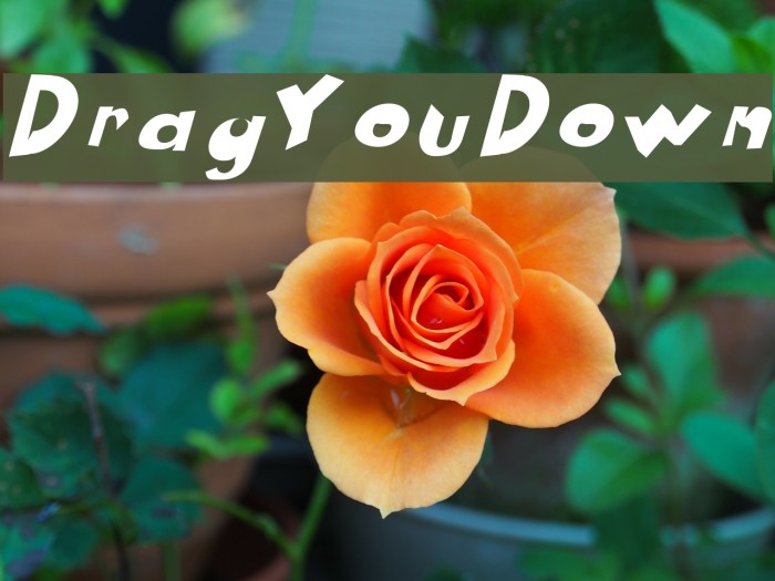 Drag You Down Font examples