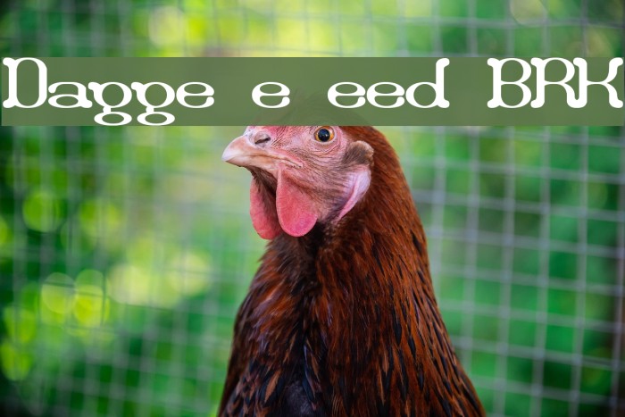 Draggle [over kerned] [BRK] Example 3