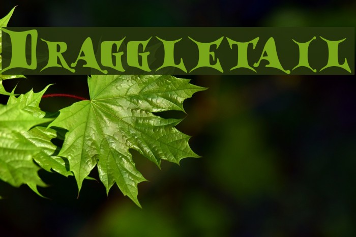 Draggletail Font examples