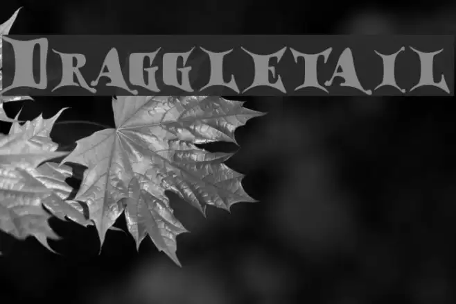 Draggletail Example 2