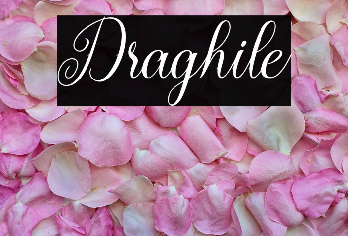 Draghile Example 1