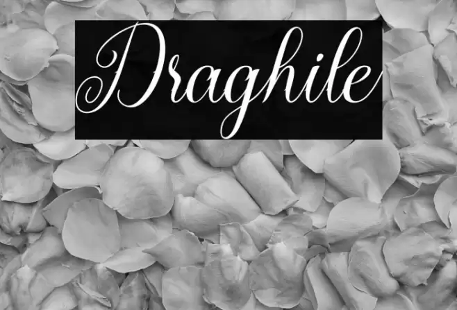 Draghile Font examples