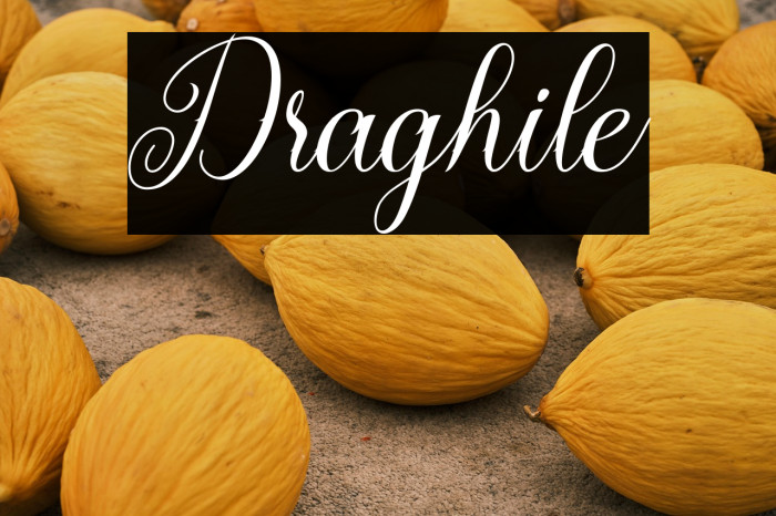 Draghile Example 2