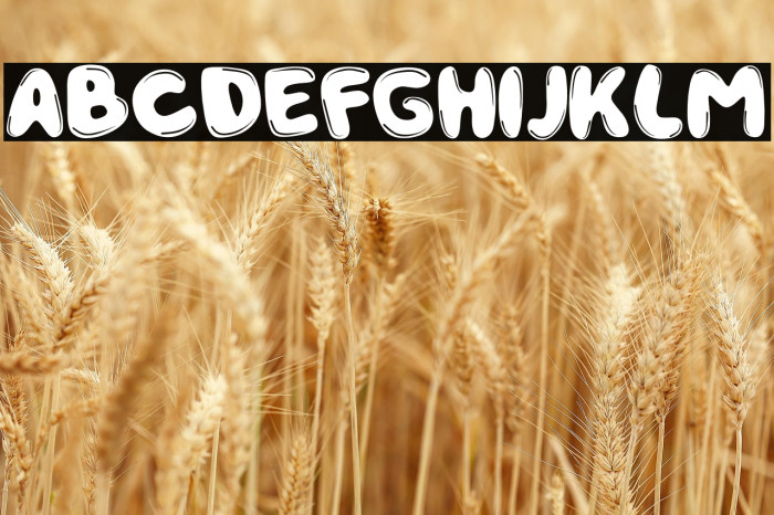 Dragon Ball Example 1