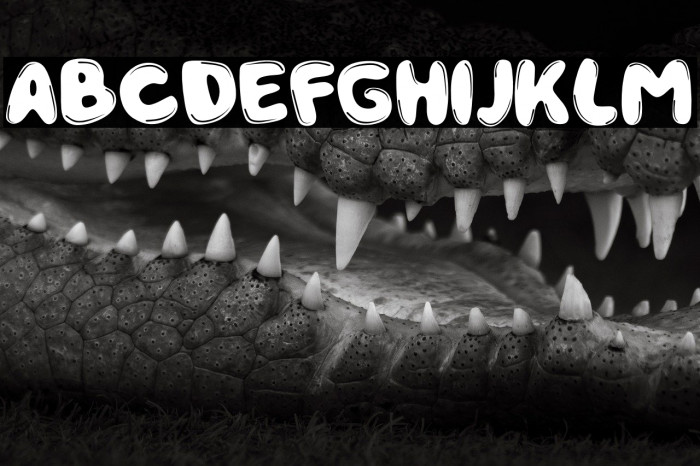 Dragon Ball Example 2