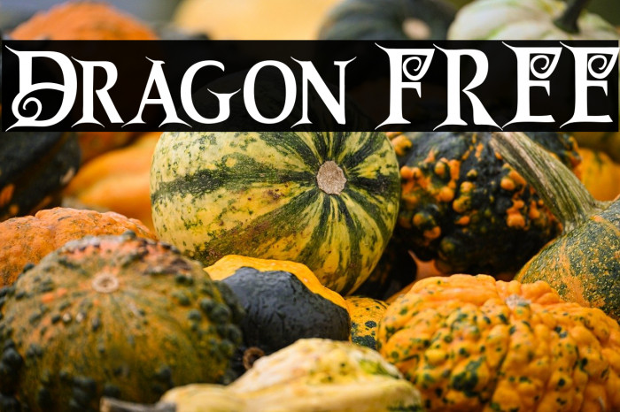 Dragon FREE Example 1