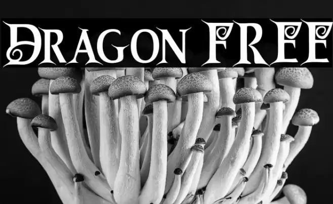 Dragon FREE Font examples