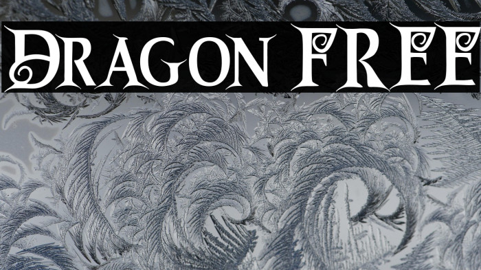 Dragon FREE Example 3