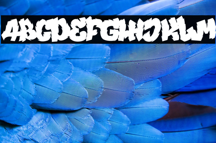 Dragon Flame Schriftart examples