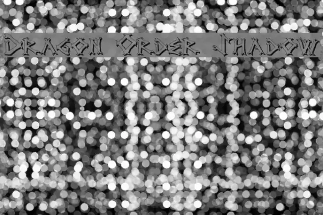 Dragon Order Shadow Caratteri examples