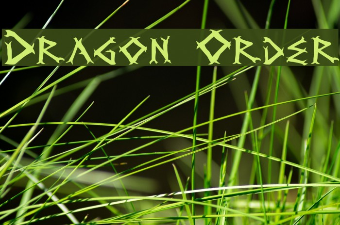 Dragon Order Schriftart examples