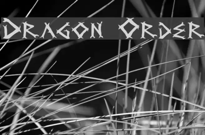 Dragon Order Schriftart examples