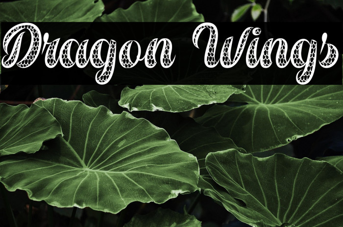 Dragon Wings Example 2