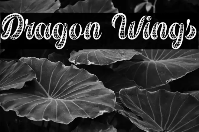 Dragon Wings Example 2