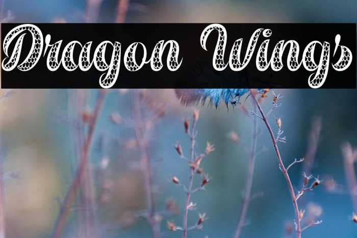 Dragon Wings Example 3