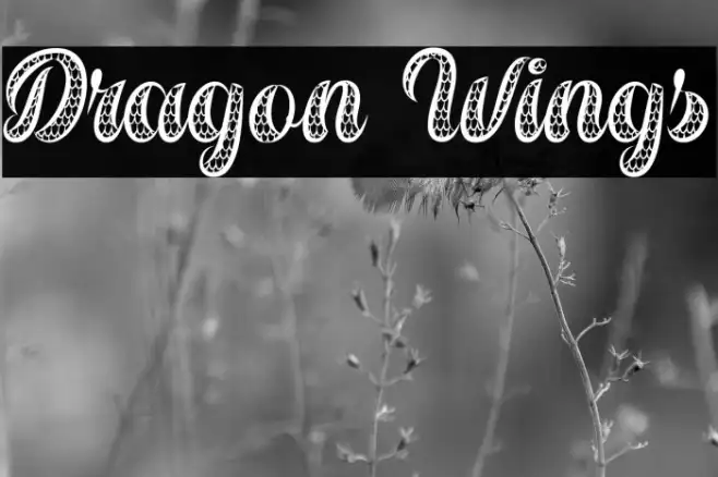 Dragon Wings Example 3