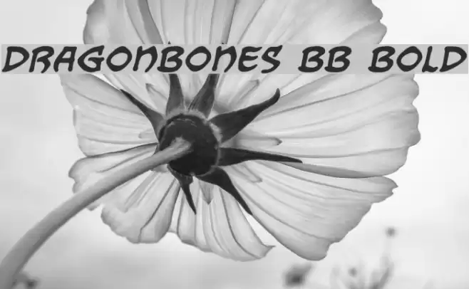 Dragonbones BB Bold examples