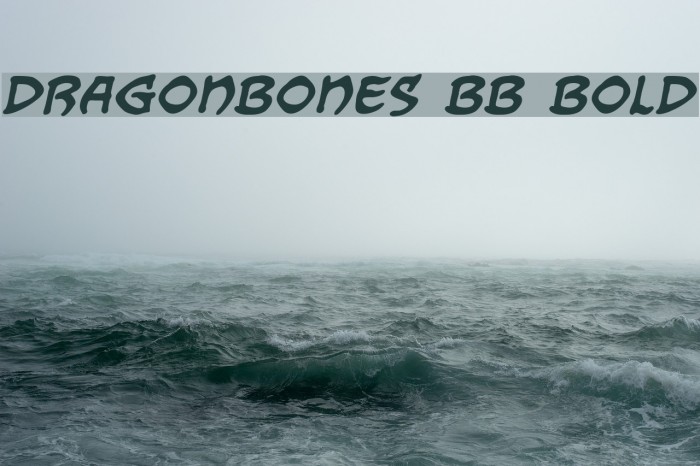 dragonbones bb dragonbones bb