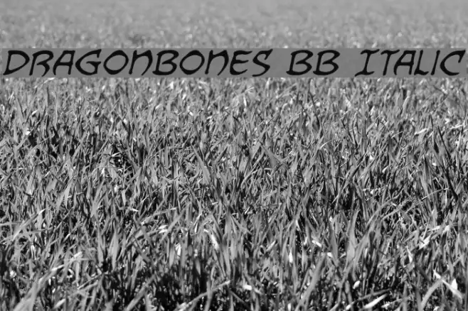Dragonbones BB Italic Example 3