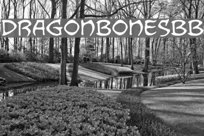 DragonbonesBB Example 1