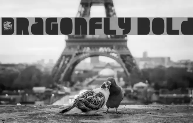 Dragonfly Bold Font examples