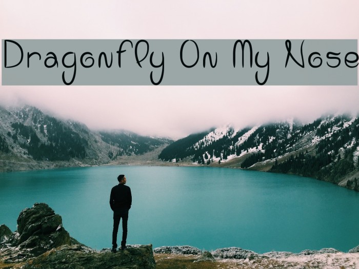 Dragonfly On My Nose Font examples