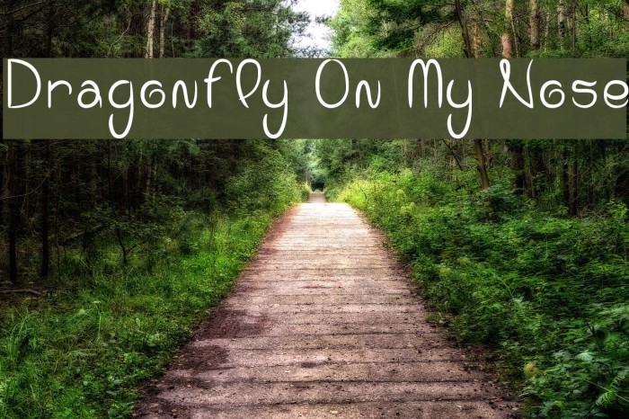 Dragonfly On My Nose Font examples