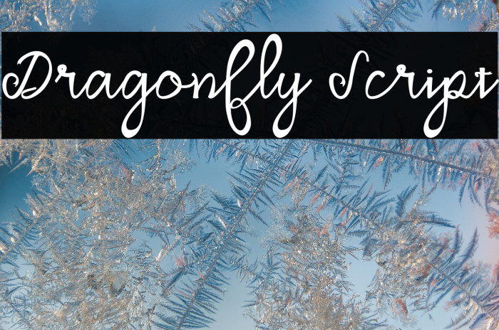Dragonfly Script Example 2