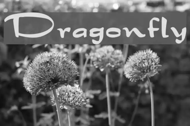 Dragonfly Font examples