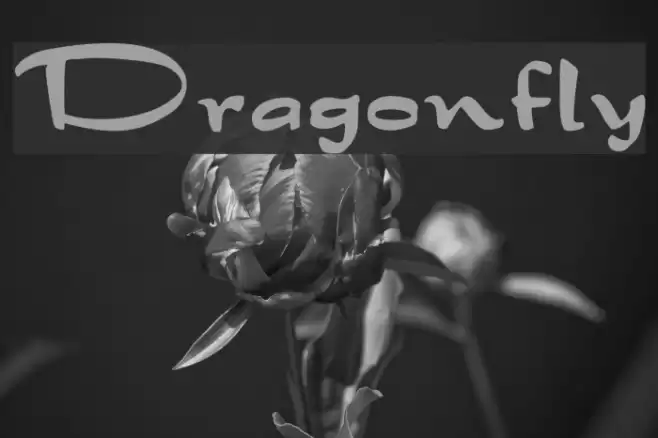 Dragonfly Font examples