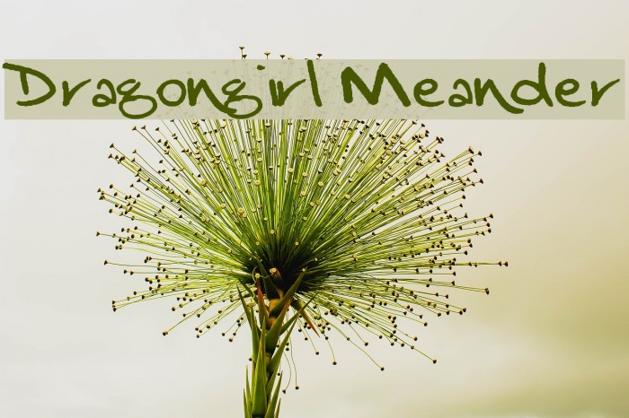 Dragongirl Meander Fuentes examples