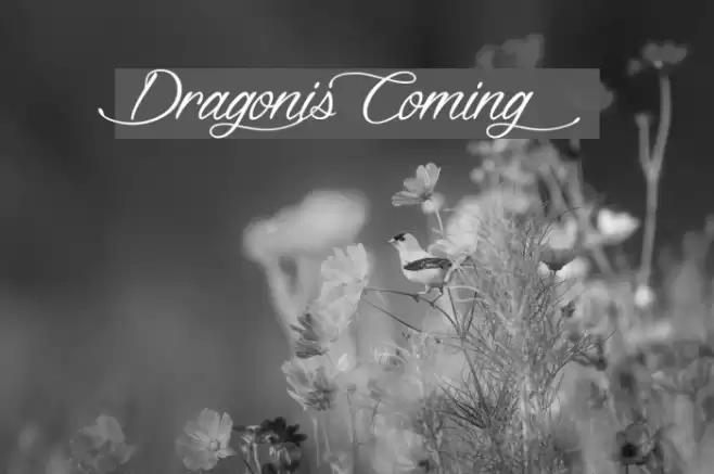 DragonisComing Font examples